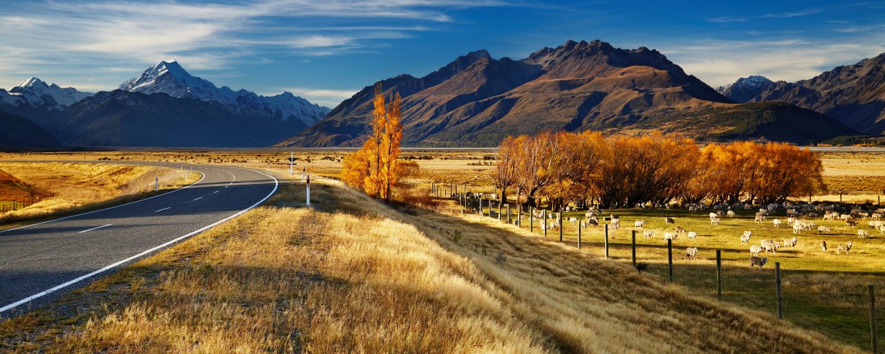 NZ_Static