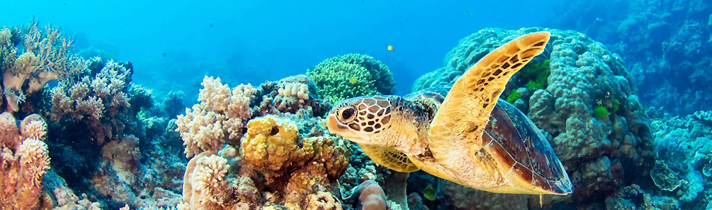Cairns Cairns