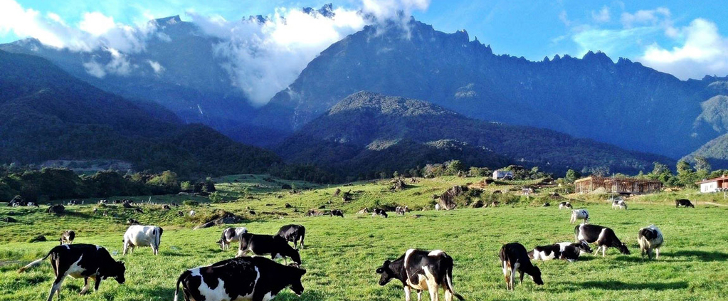 Kundasang Kundasang