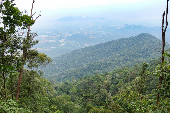Gunung Angsi Summit